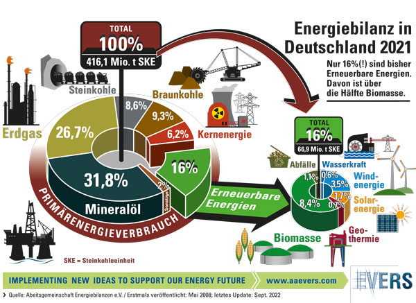 Energy Balance in Germany 2021 in Percent